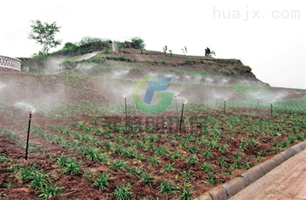 广西园林智能喷淋灌溉项目