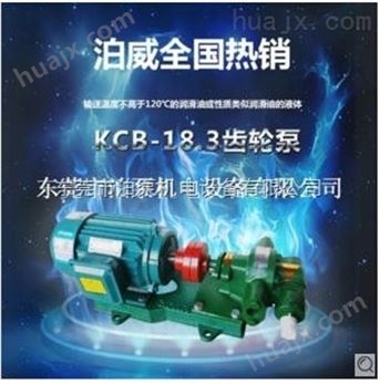 吴川 泊威泵业 技术专业 KCB18.3 齿轮油泵 供应