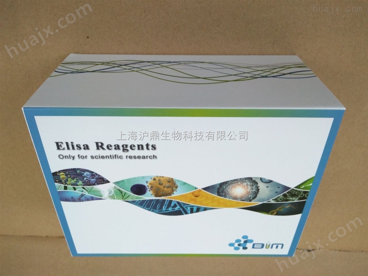 Fbg,BIM小鼠纤维蛋白原ELISA试剂盒