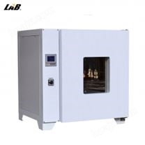 LAB-600电热恒温干燥箱