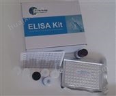 人6-酮-前列腺素F1a检测试剂盒