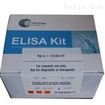 VacA试剂盒空泡毒素相关蛋白A检测试剂盒