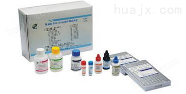 猪白介素12检测试剂盒，IL-12/P40试剂盒