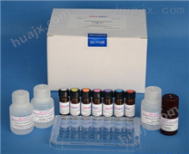 人CD30/TNFRSF8检测试剂盒