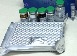 鸡脂多糖/内毒素检测试剂盒,LPS试剂盒