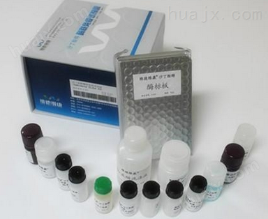 人VEGFR3检测试剂盒