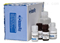 白介素9检测试剂盒,IL-9试剂盒