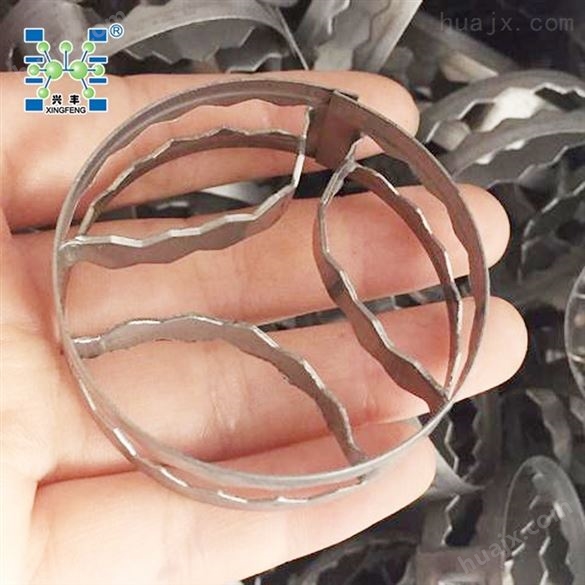 不锈钢扁环填料 304 316 碳钢工业金属扁环