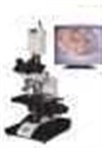 三目生物显微镜XSP-9TV