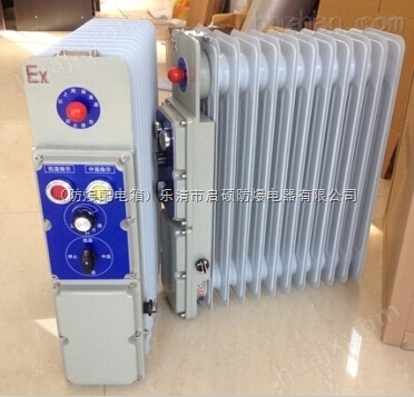 BDN-2000W/220V防爆电暖器