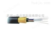 ADSS光缆,12芯ADSS光缆,24芯ADSS光缆 北京天润一舟