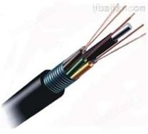 GYTY53-4A1b多模光纤光缆
