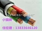 *-VV，VV22动力电缆
