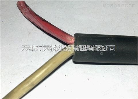 MYQ300/500V矿用轻型移动电缆