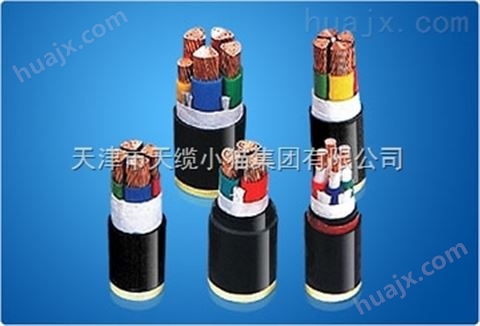VV-0.6/1KV电力电缆VV铜芯电力电缆