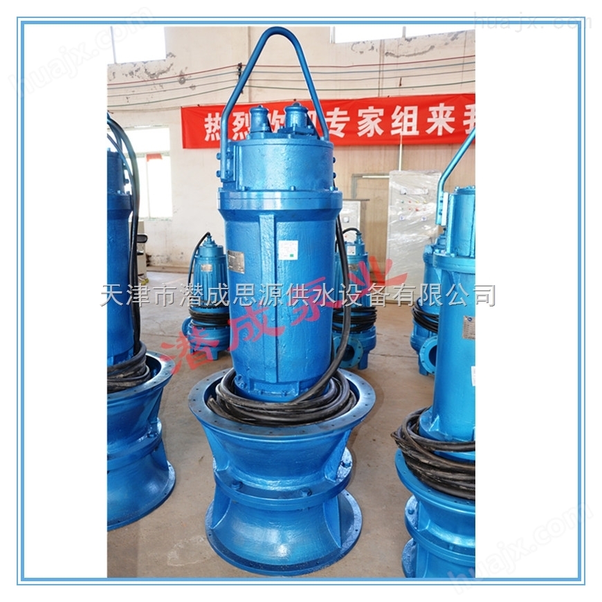 天津潜水轴流泵排名|天津潜水轴流泵型号