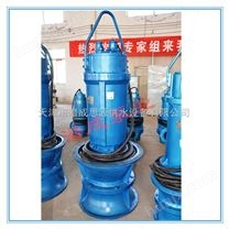 天津潜水轴流泵排名|天津潜水轴流泵型号
